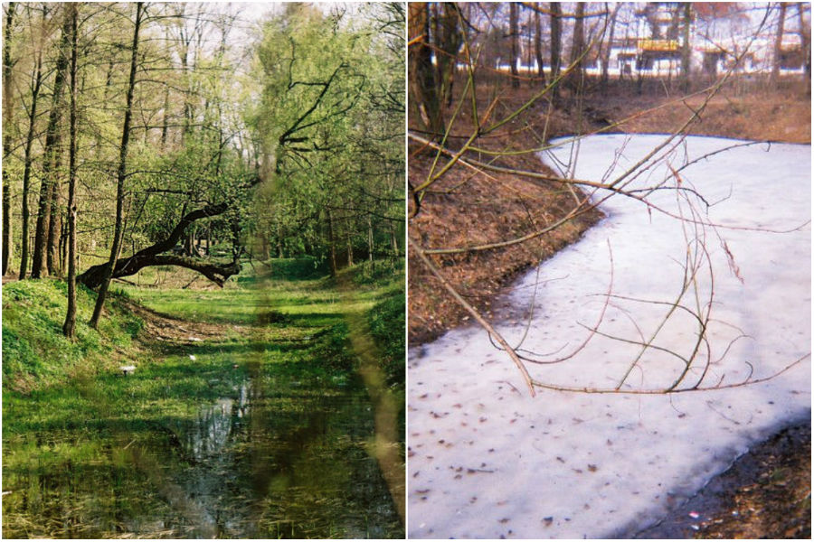Park Wolności – dawna Strzelnica, dziś zielone serce Pabianic